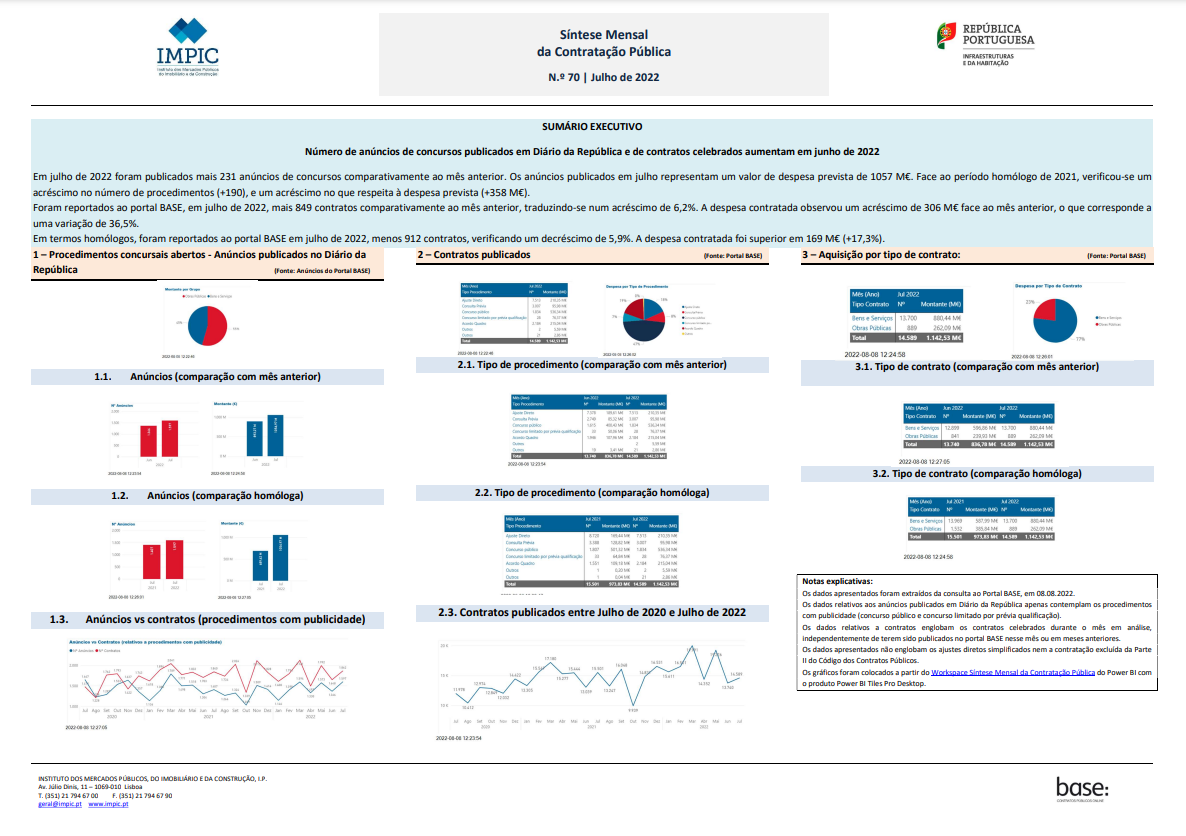 IMPIC Power BI report